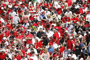 ac米兰中文官网-高校体育赛事观众体验提升策略研究，体育赛事审美体验